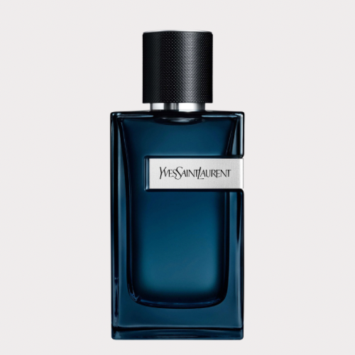 YVES SAINT LAURENT YSL Y Intense